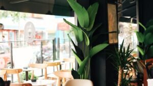 Singapore hawker centre and dining