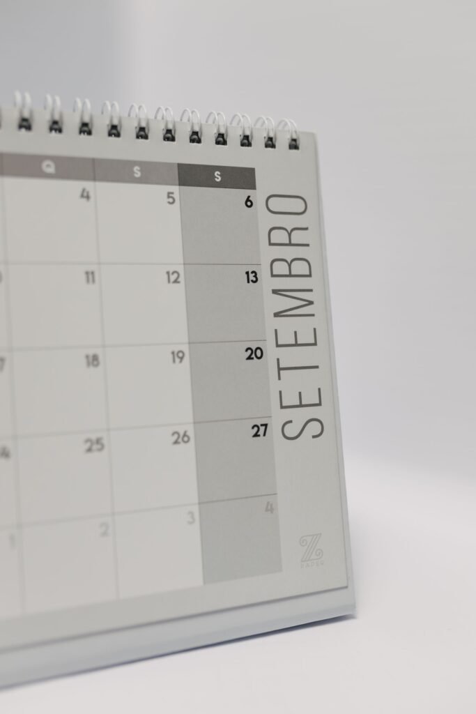 SEO timeline financial services Singapore month by month ranking milestones roadmap